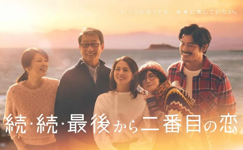 倒数第二次恋爱续篇（2025） 电视剧