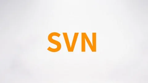 尚硅谷SVN视频-带源码课件 课程