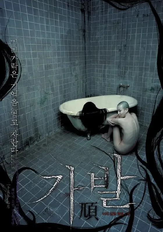 假发가발（2005） 电影