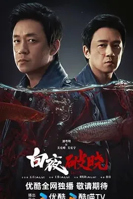 白夜破晓[2024] 电视剧