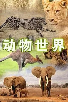 动物世界（1968） 夸克