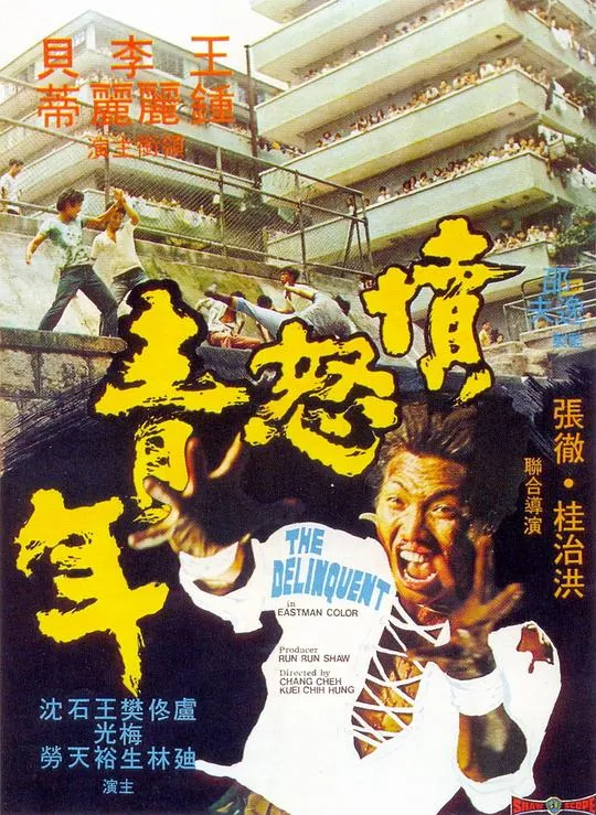 愤怒青年（1973） 电影