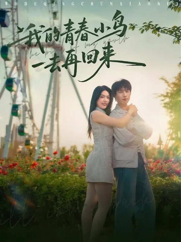 我的青春小鸟一去再回来（95集） 短剧