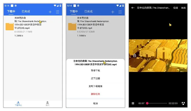 飞流下载器v1.1.0 软件