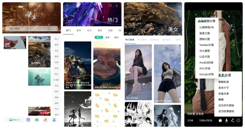 搜图大师v1.0.0 软件